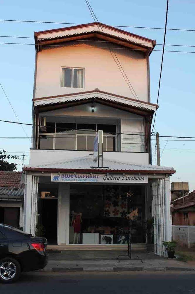 Blue Elephant Tourist Guesthouse Kudapaduwa Εξωτερικό φωτογραφία
